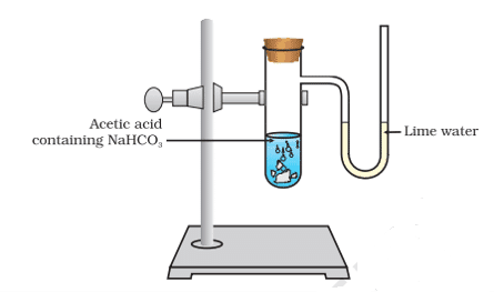 passing of carbon dioxide through freshly prepared lime water