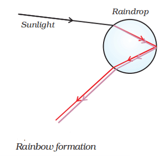 formation of rainbow (the human eye and the colorful world)