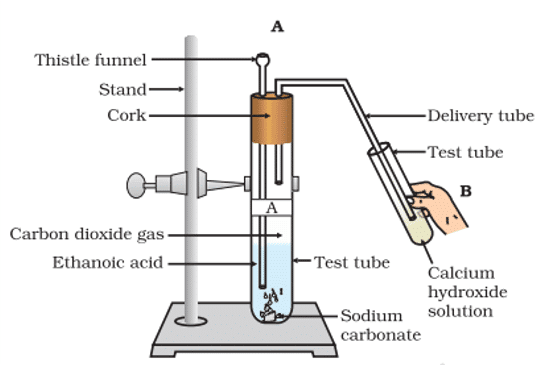 important questions of carbon and its compounds