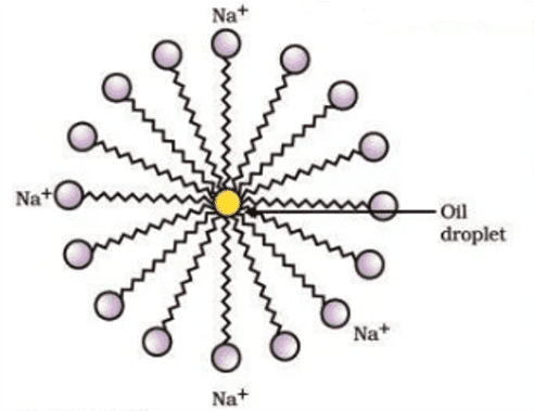 micelles