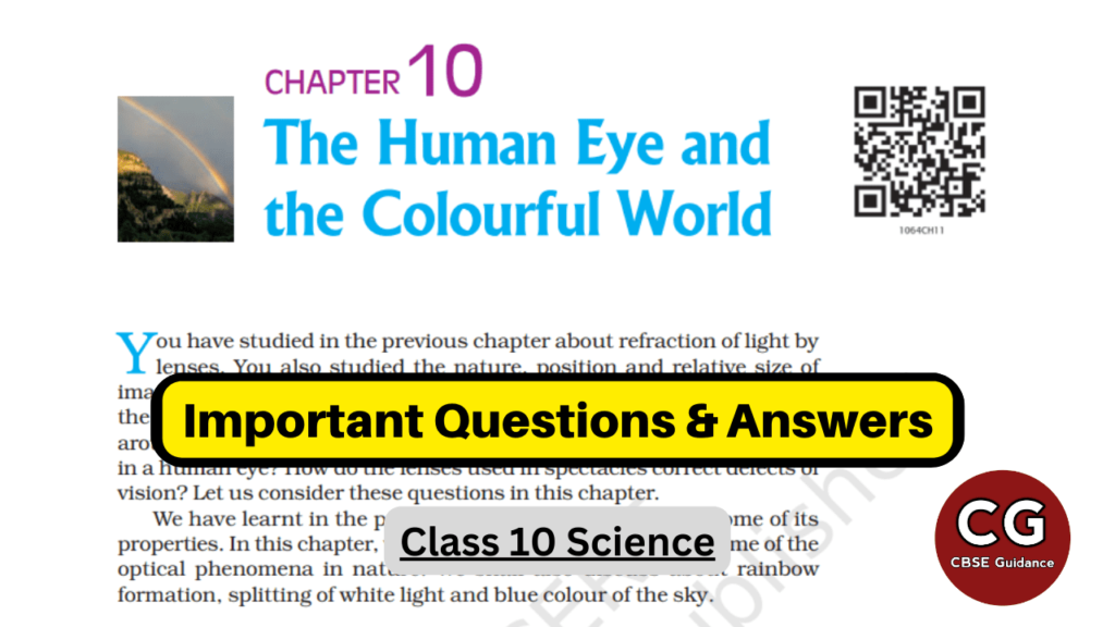 the human eye and the colourful world class 10 questions answers