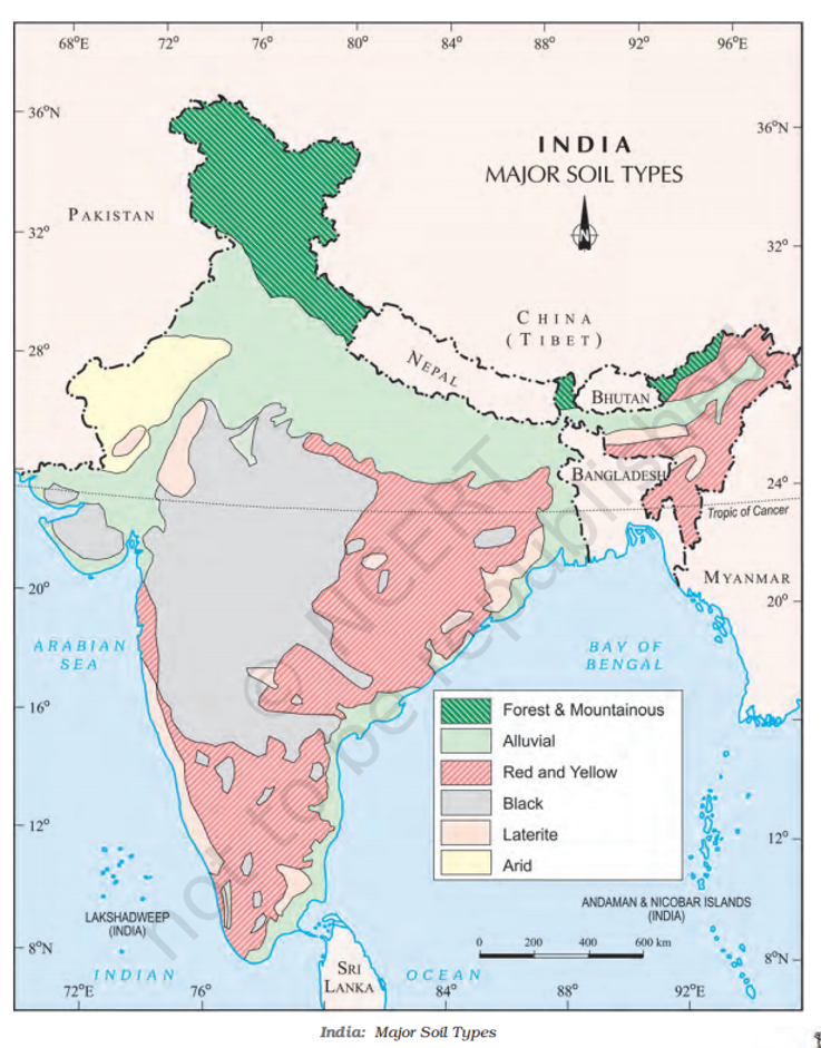 India major soil types class 10 geography