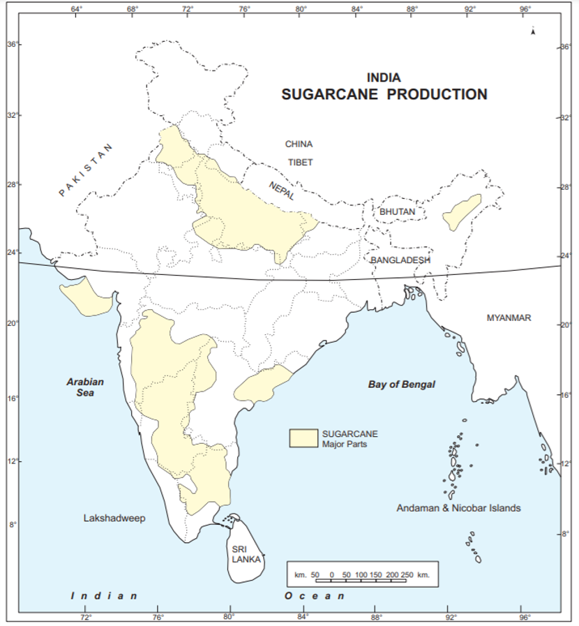Major Sugarcane producing states in India