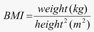 Bmi formula class 10 economics