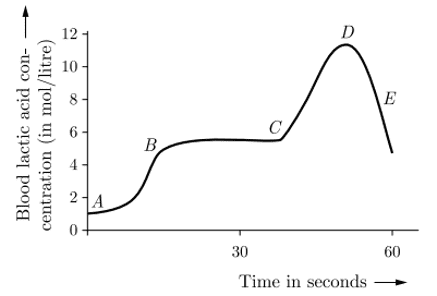 aerobic and anaerobic respiration graph