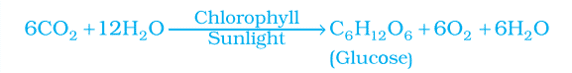 chemical-equation-of-photosynthesis