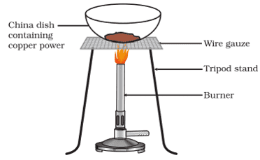 chemical reactions and equations class 10