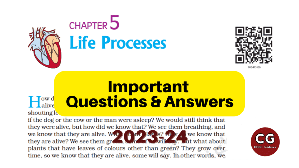 Life Processes Class Important Questions Answers Cbse Guidance