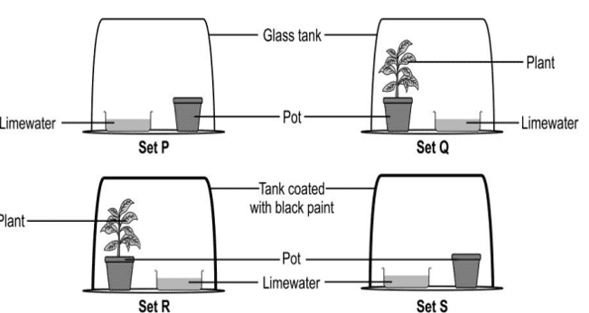 life processes class 10 important questions and answers