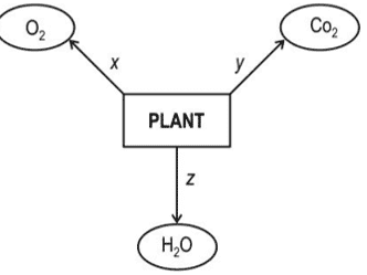 life processes class 10 important questions