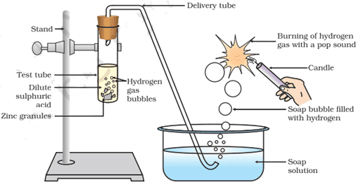 Reaction of zinc granules with dilute sulphuric acid and testing hydrogen