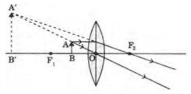 The below lens has a focal length of 10 cm. The object of height 2 mm is placed at a distance of 5 cm from the pole. Find the height of the image