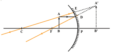 when the object is placed between F and P, the image formed is virtual, erect and magnified