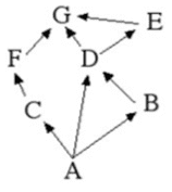 In the food web, what two organisms are competing for food