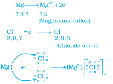 Magnesium Chloride formed by the transfer of electrons