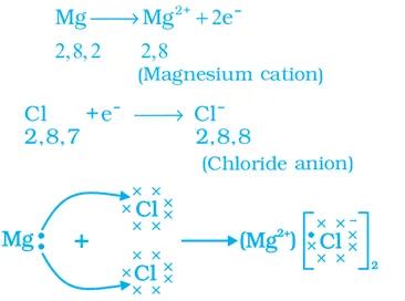 Magnesium Chloride formed by the transfer of electrons