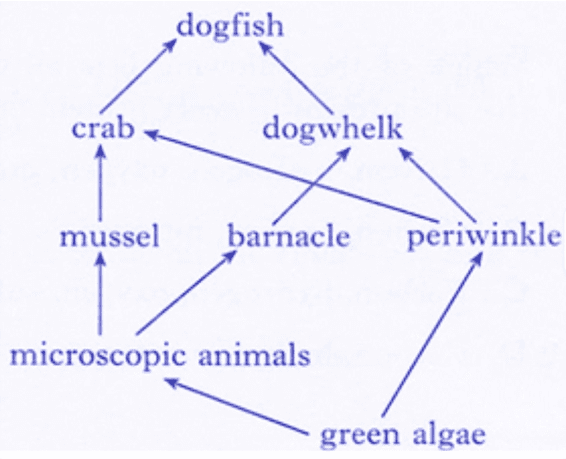 Observe the food web and answer the questions given below