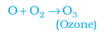 These atoms then combine with molecular oxygen to form ozone