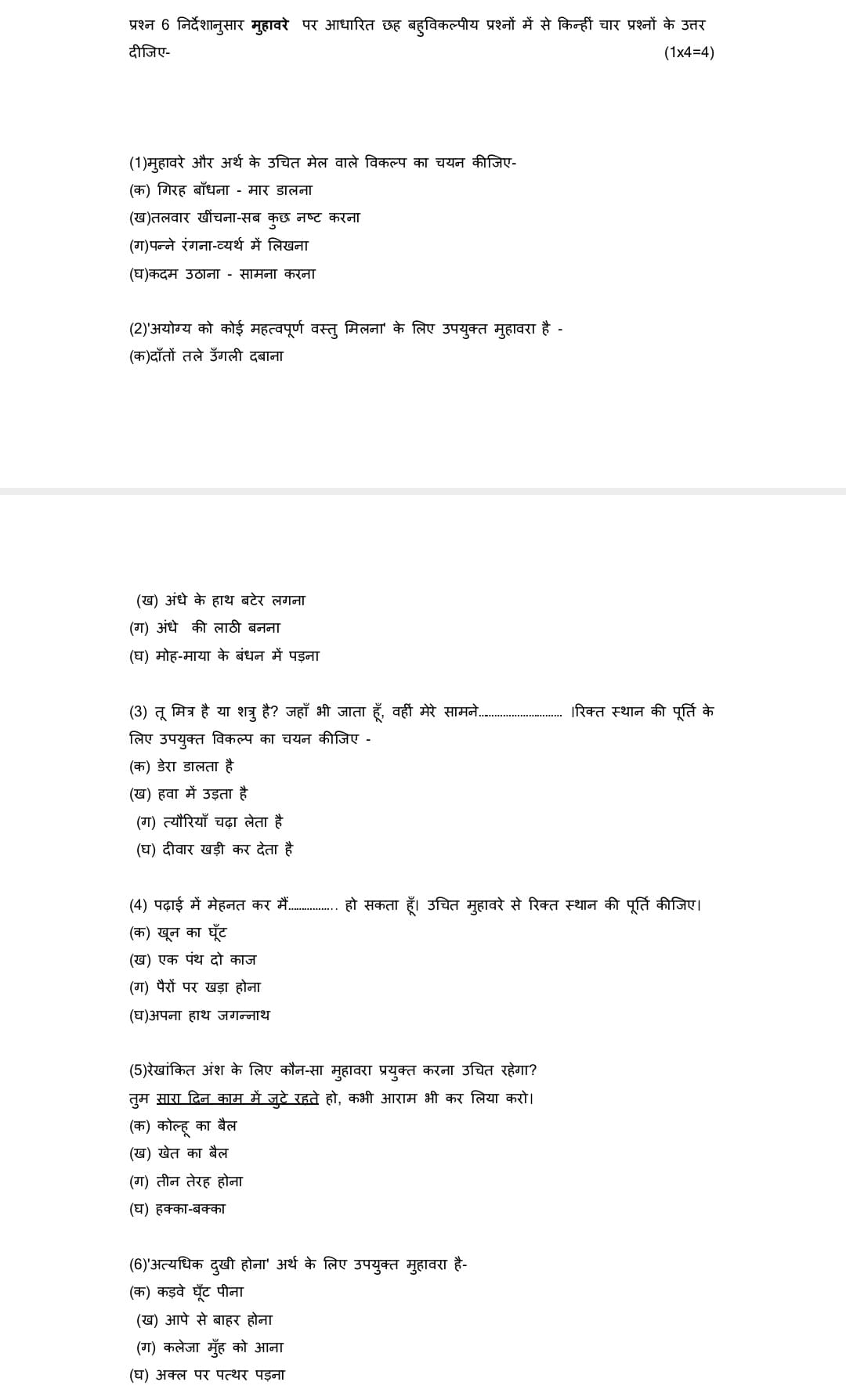 Class 10 Hindi B official sample paper 2022-239