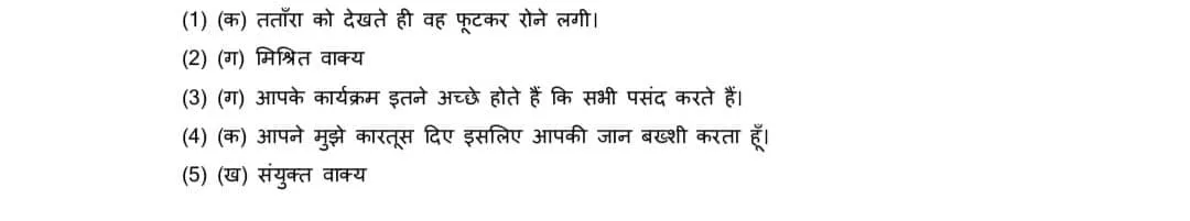 Class 10 Hindi B official sample paper 2022-23iv