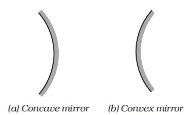 concave mirror and convex mirror class 10 physics