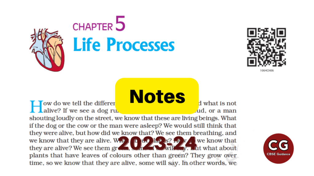 life process class 10 notes 2023-24