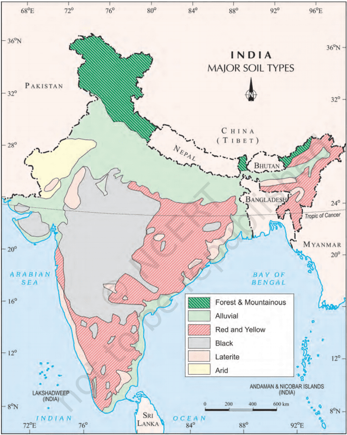 class 10 geography major soil types