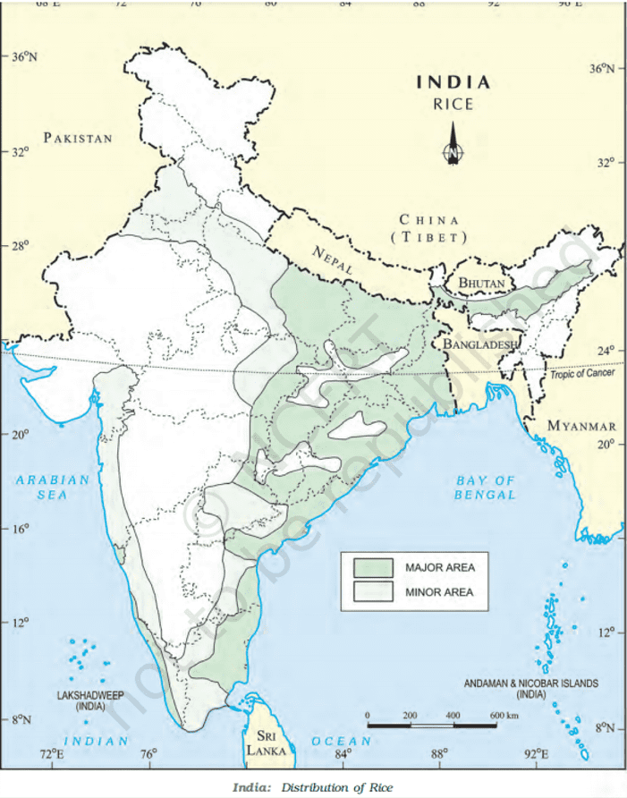 major rice producing states class 10 map work