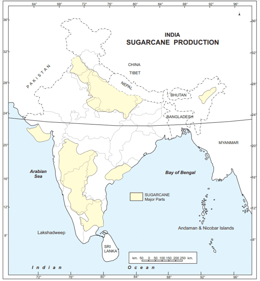 major sugacane producing states class 10 map 