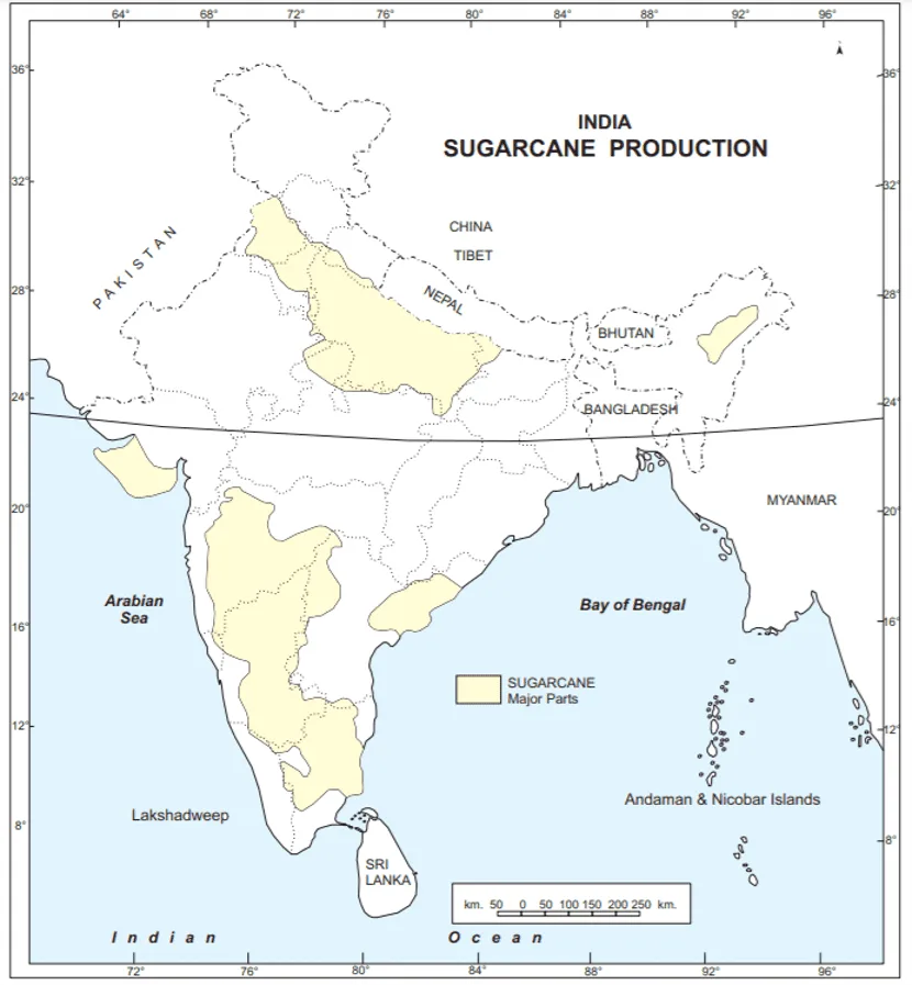 major sugacane producing states class 10 map