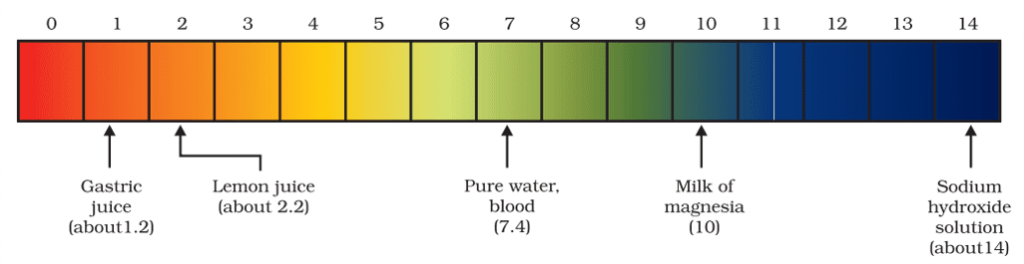 pH of some common substances shown on a pH paper (colours are only a rough guide)