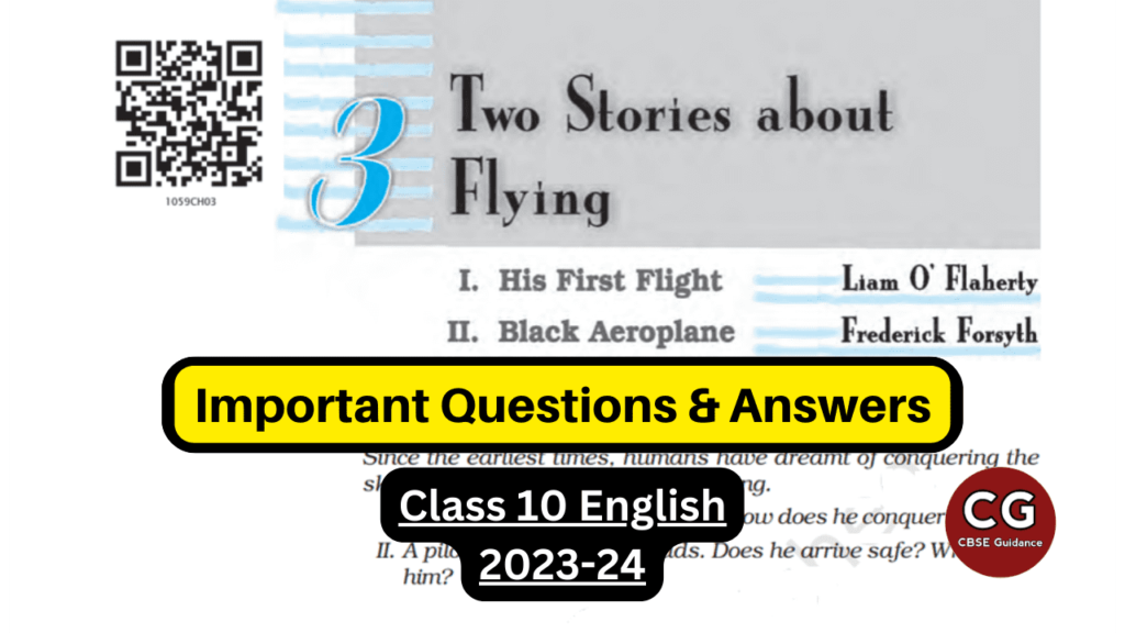two stories about flying class 10 important questions and answers