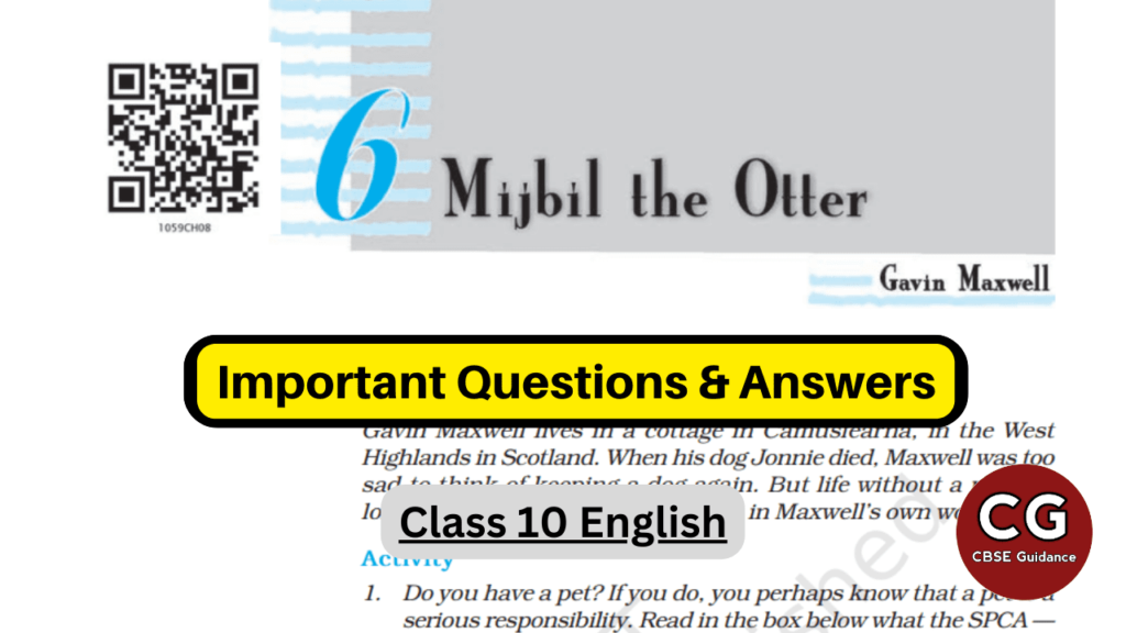 mijbil the otter class 10 question answer