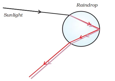 rainbow formation class 10 science