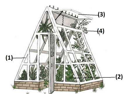 the trees class 10 important questions answers