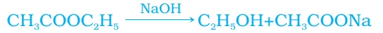 cbse class 10 science practice paper for 2023 24