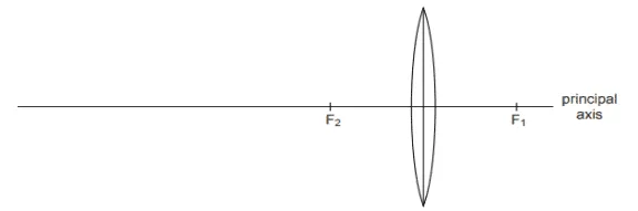 cbse class 10 science sample paper 1