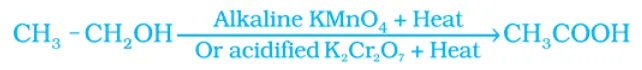 cbse class 10 science sample paper 202324 2