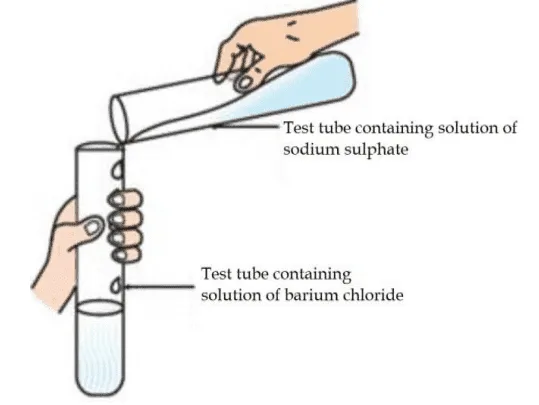 cbse class 10 science sample paper 202324 5