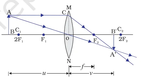 cbse class 10 science sample paper