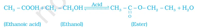 class 10 science 2023-24 sample paper cbse
