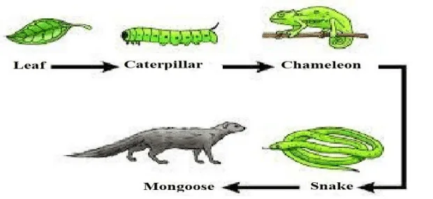 class 10 science official sample paper