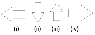 footprints without feet class 10 questions and answers