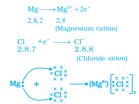 formation of magnesium chloride class 10 notes on metals and non-metals