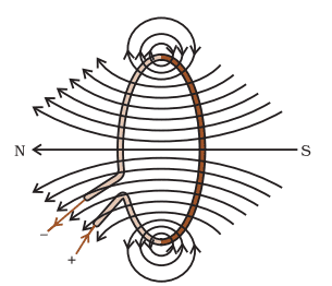 Magnetic Field due to a Current through a
Circular Loop