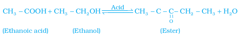 esterification reaction class 10 science