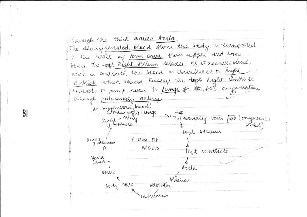 cbse class 10 science topper answer sheet 2023