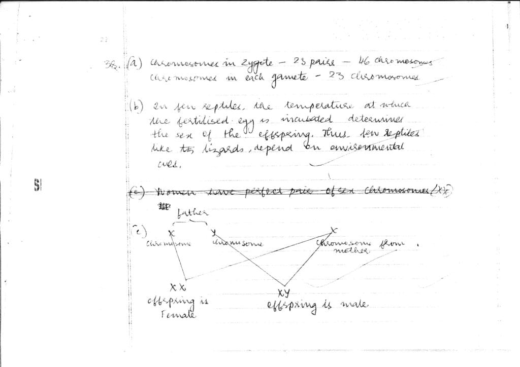 cbse class 10 science topper answer sheet 2023