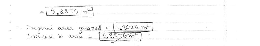 cbse class 10 standard maths 2023 topper answer sheet