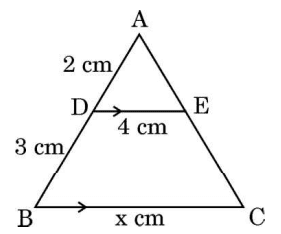 CBSE Class 10 Maths 2023 Topper's Answer Sheet